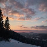 Lipowe Wzgórze Limanowa (5)