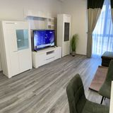 Apartament Andre Băile Felix (4)