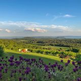 Hantos Pince Vendégház Balatonszőlős (2)