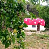 House Fairytale Village Mushroom Rupe (5)