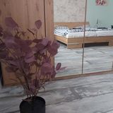 Crystal Apartman Eger (4)