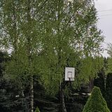 Ostoja Relaksu Cieciorka (5)