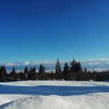 Cabana Panorama Borzont (2)