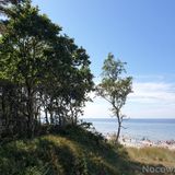 Na Jaskółczej Optima Apartments Kołobrzeg Zieleniewo (3)