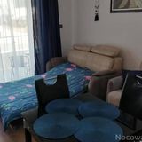 FLAMINGO 20 (3)