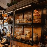 Noclegi Jurapark Krasiejów Ozimek (4)