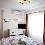 Exclusive Apartment Sibiu (3)