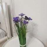 Apartament Jackowskiego Niebieski Poznań (5)