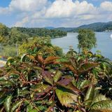 Domek Nad River San Olchowiec (2)