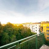 Jungle Cracovia Apartment (4)