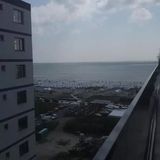 Oreo Aparthotel 2 Mamaia (4)