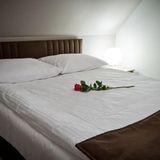 BIESZCZADZKI RAJ Olchowiec (3)