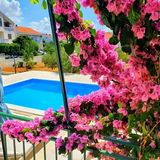 Holiday House and Apartment Pool Vodice (5)