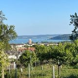 Hegytető Vendégház Balatonfüred (2)