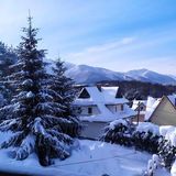 Apartament nr 5 U Miśka z jedną sypialnią Zakopane (5)