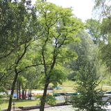 EGZOTYCZNA Bahia w Krainie Alicji (3)