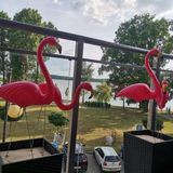 EGZOTYCZNE Meeru w Krainie Alicji (5)