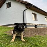 Cichata - domek w Bieszczadach Czarna Dolna (3)