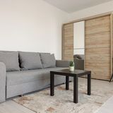 Runcu Apartament București (3)