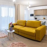 Apartament Chic Central Oradea (4)