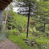 Bazalt Wellness Villa Harghita-Băi (5)