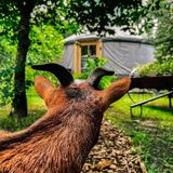 Agroturystka Jurta w Zgodzie z Naturą Sławoszyno (2)