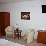 Hotel Vila Veneto 122523 Timișoara (4)