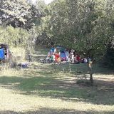 Camping Hakunamatata Gurbediu (5)