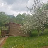 Camping Zamolxe Sarmizegetusa (4)