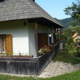 Pintea Cottage - Bucovina Mănăstirea Humorului (5)