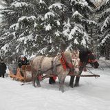 Zagroda Studzienno- Agroturystyka Polanica Zdrój (4)