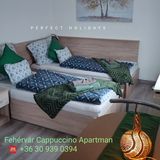 Fehérvár Cappuccino Apartman Székesfehérvár (3)