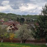 Cottage in Traditional Village Brăduleț  (5)