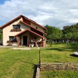 Cottage in Traditional Village Brăduleț  (4)