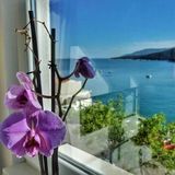 Apartment By the Sea Rabac (3)