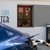 4CatsShelter Apartman Cák (4)