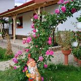 Casa de oaspeți Tiny Mara Râmnicu Vâlcea (2)