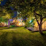 Dragonfly Gardens - Urban Glamping Brașov (4)