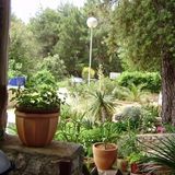 Apartman Emily Mali Lošinj (5)