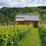 Agroturystyka i Winnica Granice Zgłobień, Rzeszów (2)