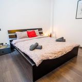 Cozy & Spacious flat near Victoriei Square București (3)