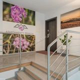 Apartamenty Primula Biała Woda, Jaworki (3)