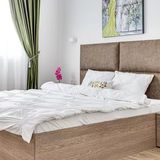 ARI Olive Apartment Arad (2)