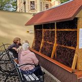 Pokoje Gościnne Andrzejówka w Szczawnie Zdroju Szczawno Zdrój (3)