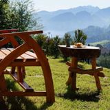 Borowikowe Zacisze Falsztyn, Szczawnica (5)