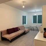 Apartament Wild Nest București (2)