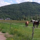 Domki Całoroczne Wichrowe Wzgórze Bieszczady Polańczyk (2)