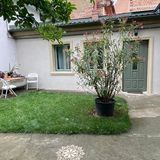 Urban Oasis Guesthouse Târgu Mureș (5)