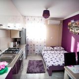 Apartament Deluxe George Băile Felix (3)