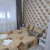 Apartament Family Rooms Hunedoara (5)